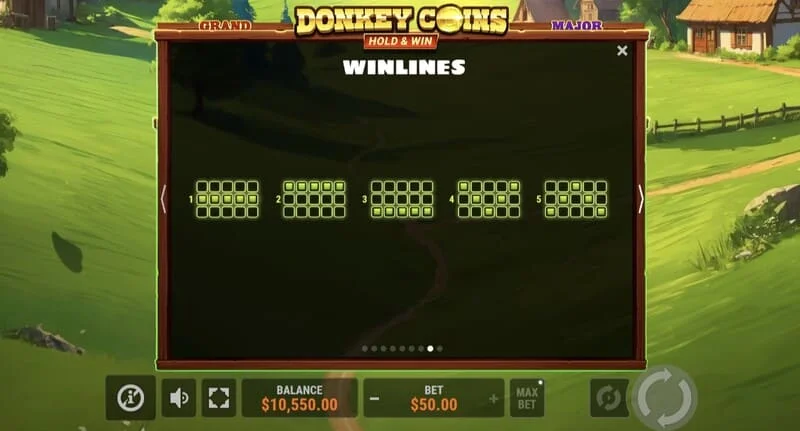 Donkey Coins Hold & Win - suuri voitto erikoistilassa